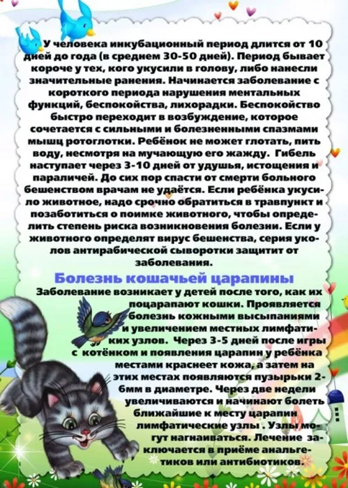 34f63e0d433fda291153de10ec86bec7